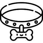 dog-collar (1)